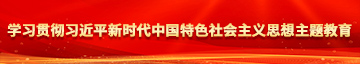 国产大鸡巴肏大骚逼!学习贯彻习近平新时代中国特色社会主义思想主题教育